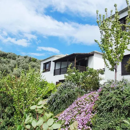 Villa Traditional Luxury House In Pelion Erato Lefokastro